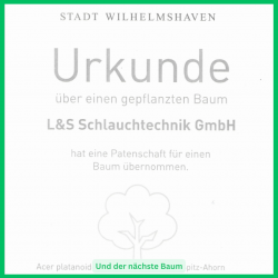 Homepage Baum